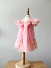 Load image into Gallery viewer, 2-3yr Quinn