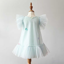 Load image into Gallery viewer, 2-3yr Flutter