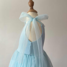 Load image into Gallery viewer, 1-2yr Bluebelle