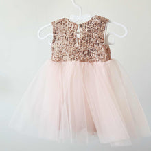 Load image into Gallery viewer, 0-6 month Desert Rose