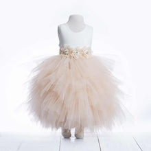 Load image into Gallery viewer, Nikita