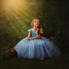 Load image into Gallery viewer, Alice in wonderland
