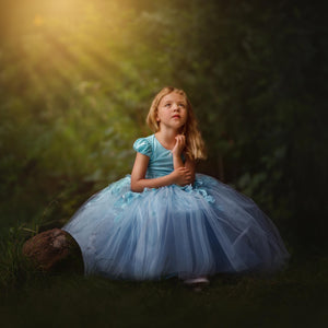 Alice in wonderland